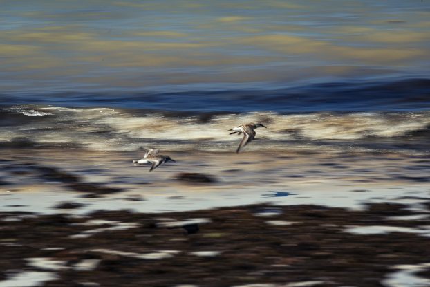 Fotografia A Primeira Vez que Eu Ví o Mar #7641 2025