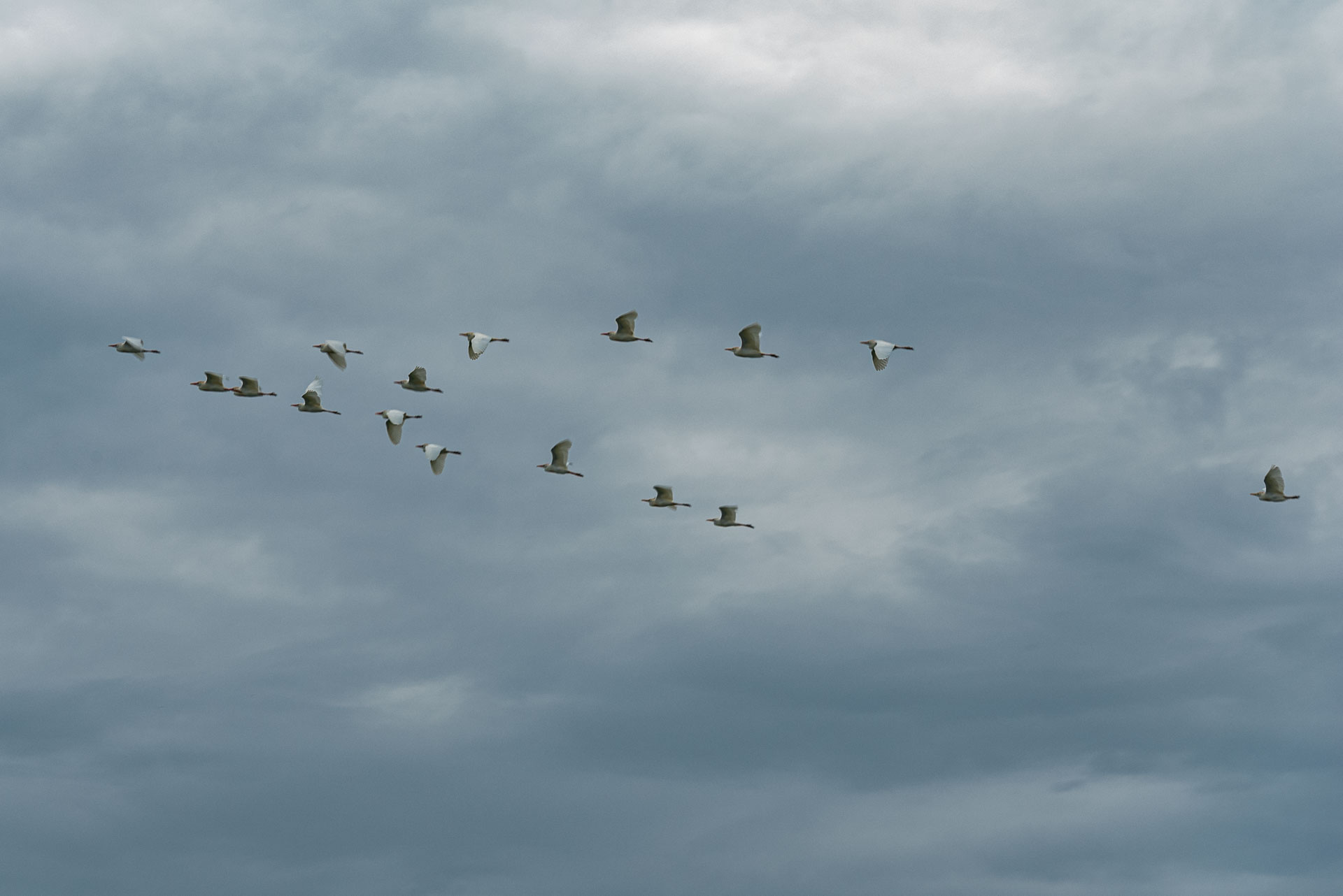 Promoção Fim de Ano 2025 - Image 2