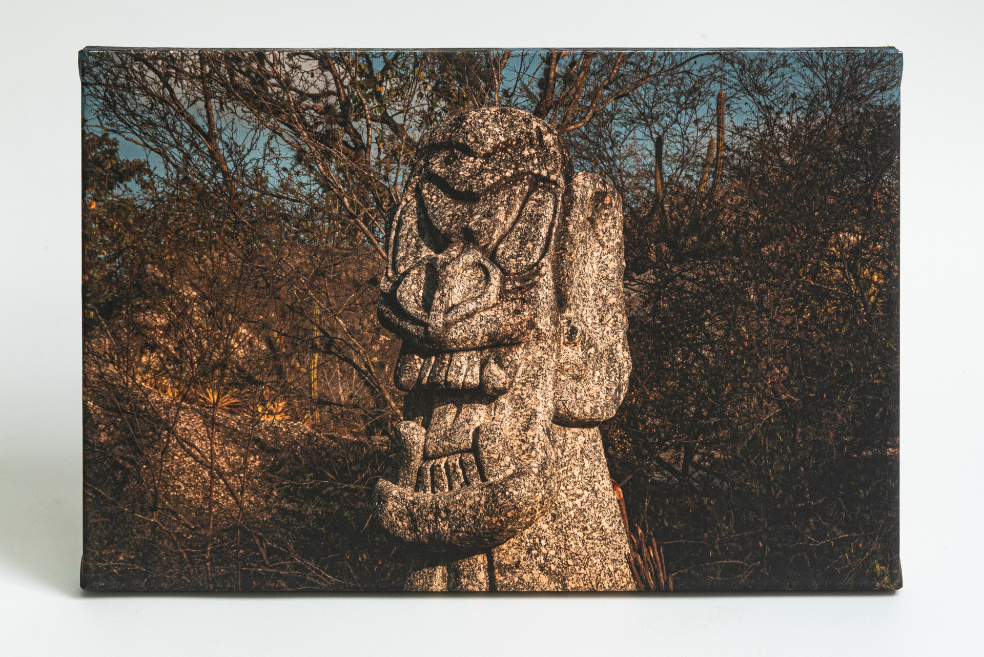 Promoção de Fim de Ano 2025