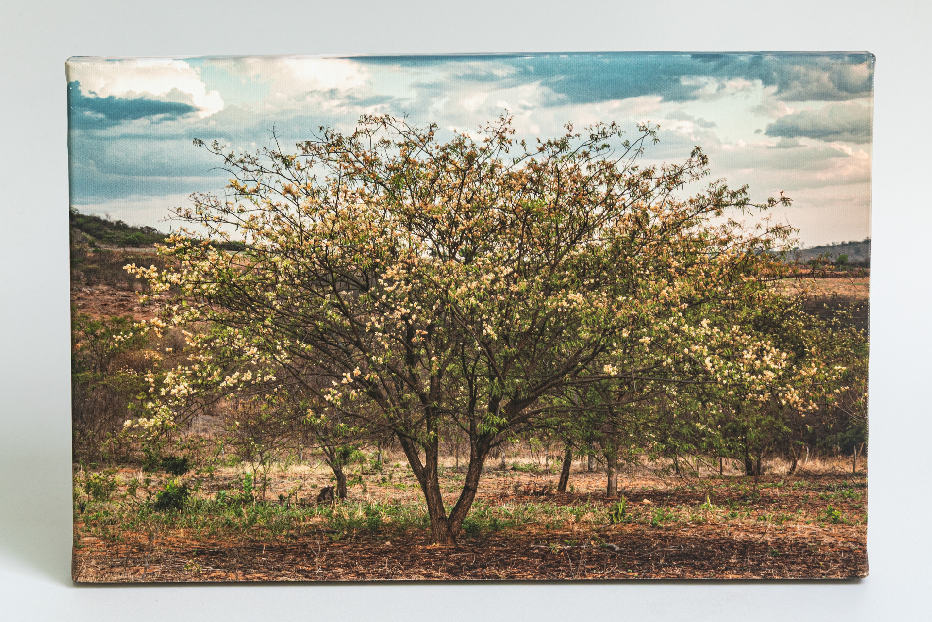 Promoção de Fim de Ano 2025
