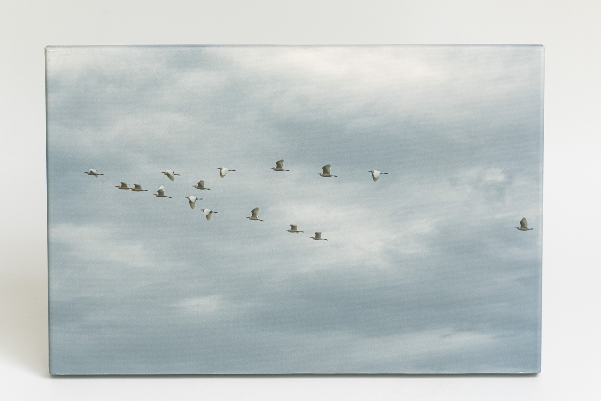 Promoção Fim de Ano 2025